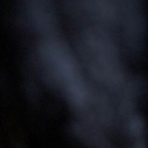 Meet your Posher, Logan